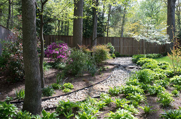 2021 Hermitage Ave, Silver Spring, MD, backyard path
