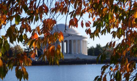 Jefferson Memorial framed by autumn leaves