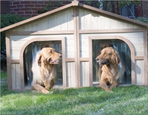Dogs talking real estate
